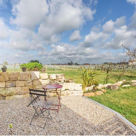 Saint-Émilion L'Oree Des Vignes المظهر الخارجي الصورة