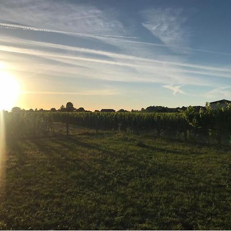 Saint-Émilion L'Oree Des Vignes المظهر الخارجي الصورة