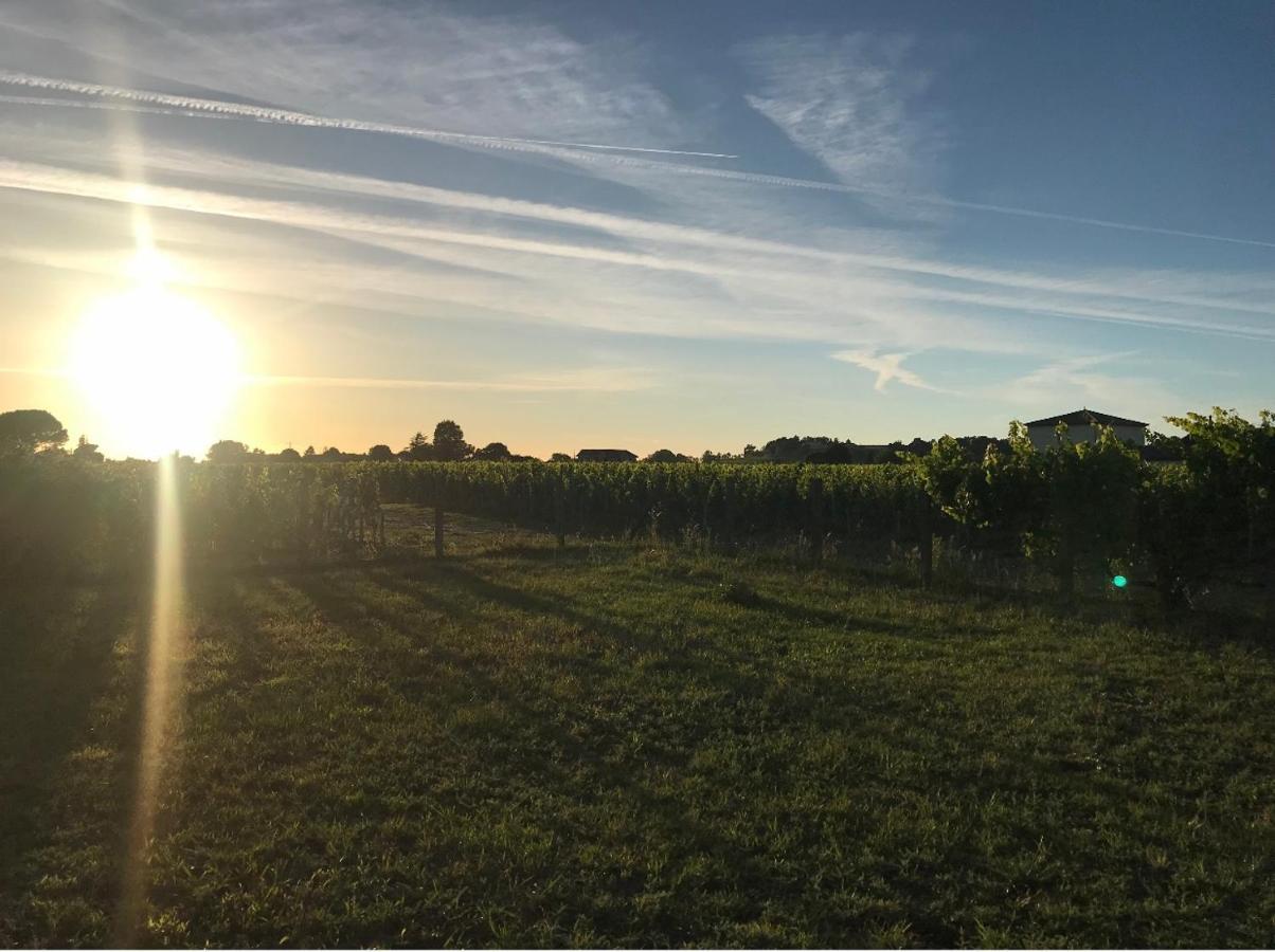 Saint-Émilion L'Oree Des Vignes المظهر الخارجي الصورة